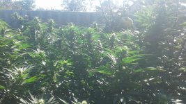20181003_121321.jpg