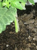 IMG_20181009_191246.jpg