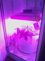 IMG_20181010_131119.jpg