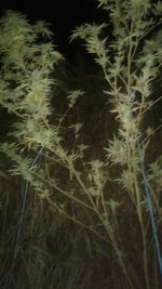 20181012_001653.jpg