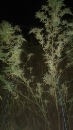 20181012_001700.jpg