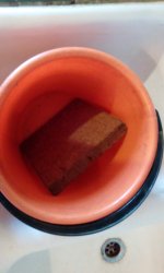 IMG_20181013_094723.jpg