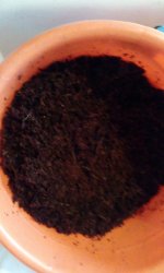 IMG_20181013_095429.jpg