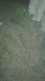 20181012_015131.jpg