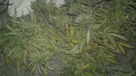 20181012_015310.jpg