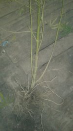 20181012_015331.jpg