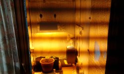 IMG_20181014_111844.jpg