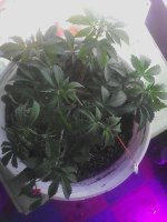IMG_20181014_123556.jpg