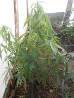 DSCN5933.JPG