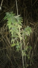 20181012_000331.jpg