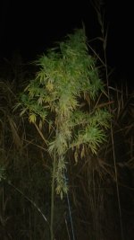 20181012_001151.jpg