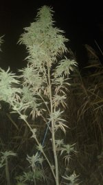 20181012_001734.jpg