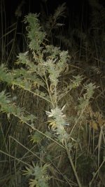 20181016_230352.jpg