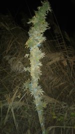 20181016_231119.jpg
