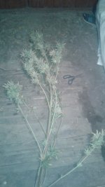 20181017_004231.jpg