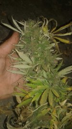 20181017_004251.jpg