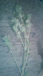 20181017_004323.jpg