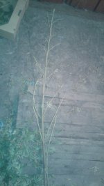 20181017_034005.jpg