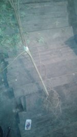 20181017_034012.jpg
