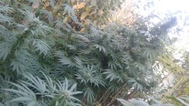 20181019_170644.jpg