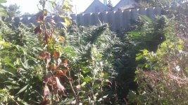 20181016_145735.jpg