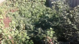 20181016_144350.jpg