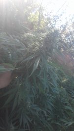 20181013_160847.jpg