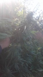 20181013_160841.jpg
