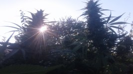 20181013_160815.jpg