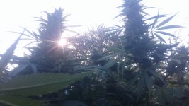 20181013_160813.jpg