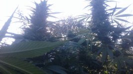 20181013_160810.jpg