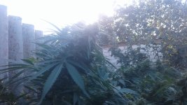 20181013_160734.jpg