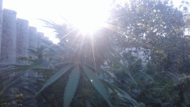 20181013_160728.jpg