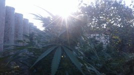 20181013_160725.jpg
