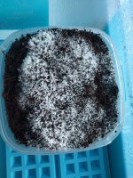IMG_20181020_102534.jpg