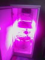 IMG_20181023_104605.jpg
