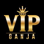 НОВЫЙ ЛОГО vip.jpg