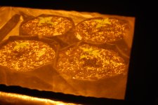 DSC_0386 - копия.JPG