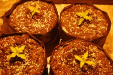 DSC_0397 - копия.JPG