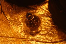 DSC_0403 - копия.JPG