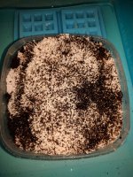 IMG_20181023_230941.jpg
