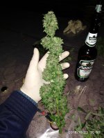 IMG_20181023_200804.jpg