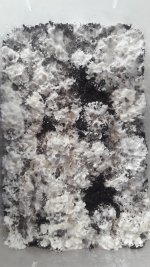 20181024_081927.jpg