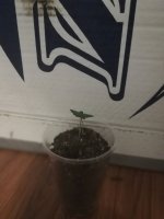IMG_20181024_211010.jpg