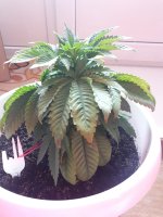 20181025_122741.jpg