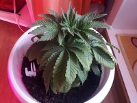 20181025_122931.jpg