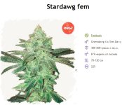 StarDawg.jpg