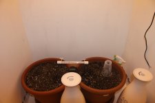 IMG_0084.JPG