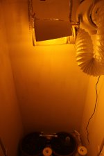 IMG_0087.JPG