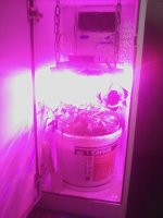 IMG_20181027_084415.jpg